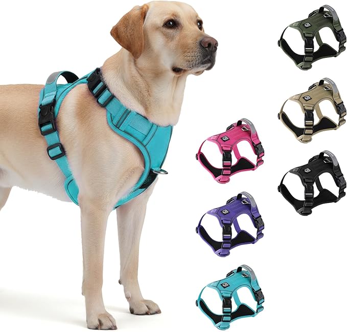 Heavy Duty Tactical Dog Harness for Medium Dogs, No Pull Dog Harness with Handle & Front Clip, Reflective Soft Padded, Hook and Loop Panel, Dog Vest for Walking, Service Training, Blue