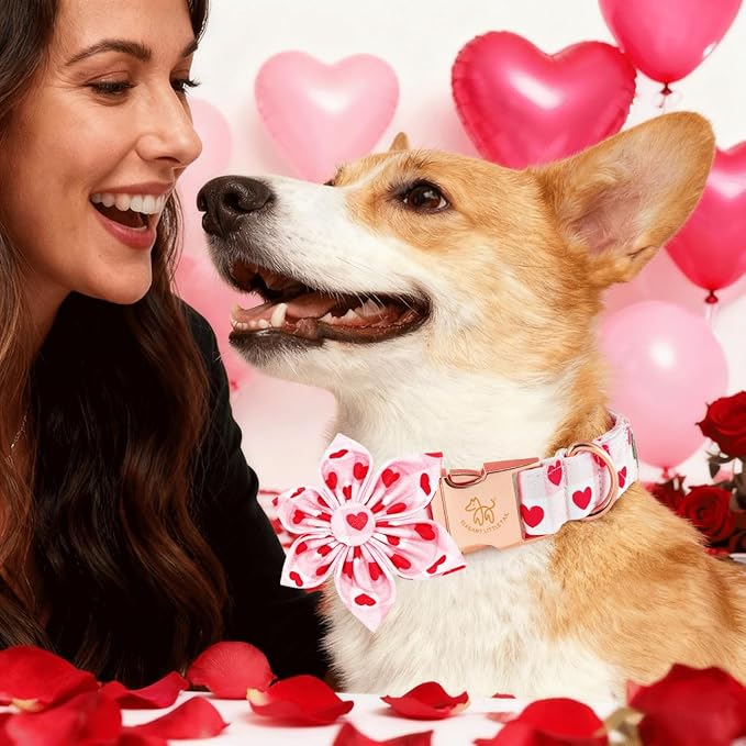 Elegant little tail Valentine's Dog Collar - Pink Plaid Red Heart Dog Collars Flower Pet Collars with Sturdy Metal Buckle Cute Puppy Adjustable Collar for Medium Dogs
