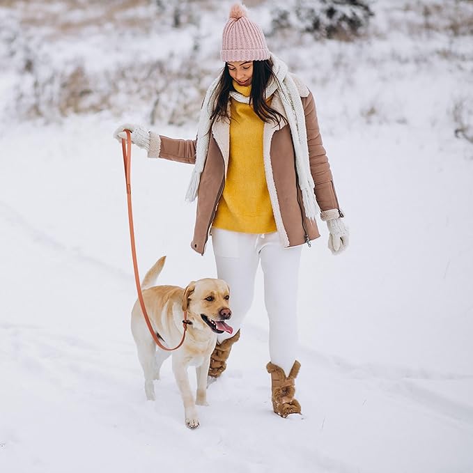 Dogline Biothane Slip Dog Leash - for Small, Medium and Large Dogs - Odor Free Slip Lead, Heavy Duty and Durable Material Kennel Lead - Coral - 5ft L x 5/8in W