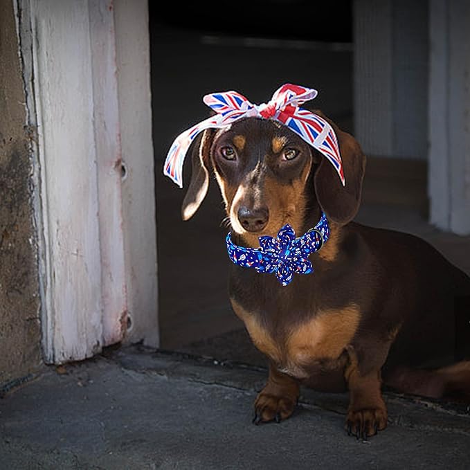 Lionheart glory American Flag Dog Collar 4 of July Dog Collars with Flower Independence Patriotic Dog Flower Collars Heavy Duty Adjustable Collar Flower for Small Dogs Pet Gift
