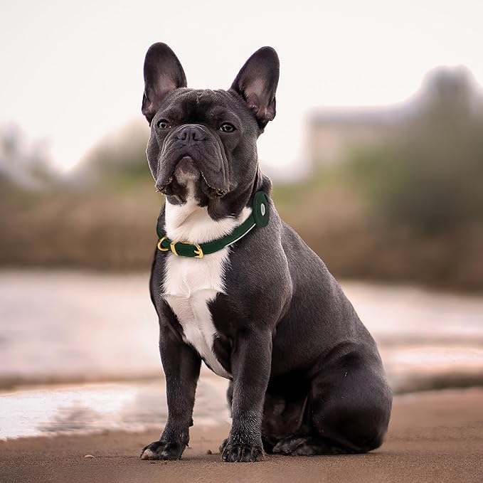 OOPSDOGGY Rolled Leather Dog Collar with Airtag Holder - Reflective Round Airtag Dog Collar - Soft Tracking Pet Collar for Small Dogs Puppy Cats Kitten (Green, XXS, 7"-9")