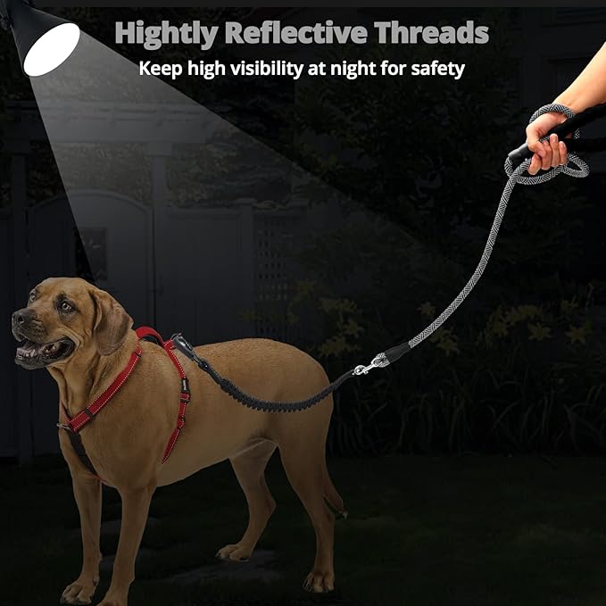 Long Dog Leash 10 FT: Heavy Duty Rope Leashes for Dogs Training with Swivel Lockable Hook Reflective Threads Bungee and Padded Handle - Dog Lead for Large Small Medium Dogs Outside Walking Hiking Grey