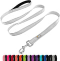 Dog Leash 6 FT Padded Handle Nylon Reflective Dogs Leashes for Large Dogs Silver
