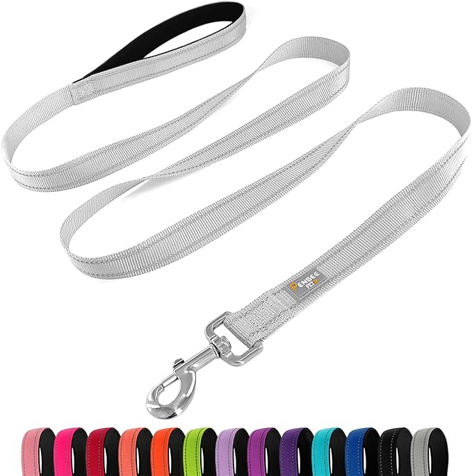 Dog Leash 6 FT Padded Handle Nylon Reflective Dogs Leashes for Large Dogs Silver
