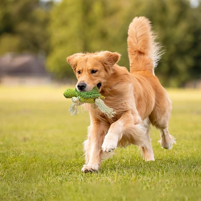 Cute Marine Animal Dog Squeaker Chew Toys, Interactive Stuffed Cotton Plush Rope Knot Toys with Crinkle Paper- for Puppy, Small, Middle Dogs(Green Turtle)
