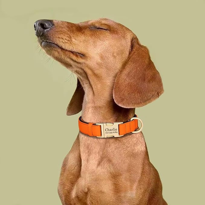 PET ARTIST Colorful Personalized Dog Collars, Custom Dog Collar with Silent Engraved ID Tag, Lightweight Breathable Nylon & Soft Padded, Matching Leash & Poop Bag for Large Dogs,Orange,L Fit 15-23"