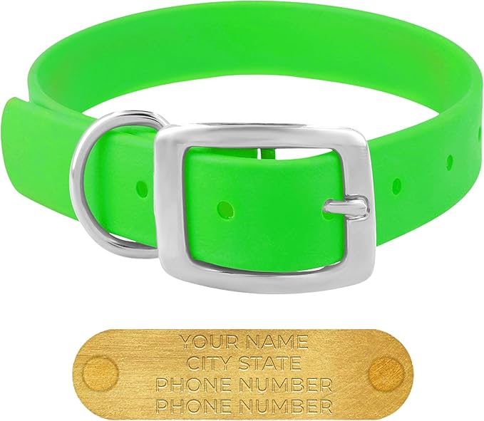 Regal Dog Products Large Light Green Waterproof Dog Collars with Custom Engraved Name Plate | Vinyl Coated, Easy to Clean Personalized Biothane Dog Collar - Other Sizes for Small & Medium Dogs