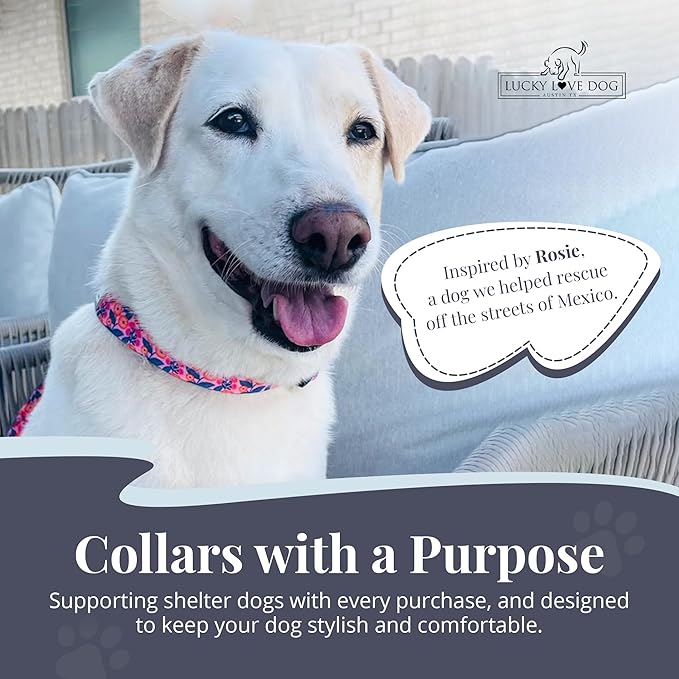Lucky Love Dog Wide Dog Collar - Adjustable, Durable, Soft Webbing, & Comfortable 1.5 inch Wide Collar with Strong Buckle for Dogs Male and Female with Strong Buckle - Rosie, Medium