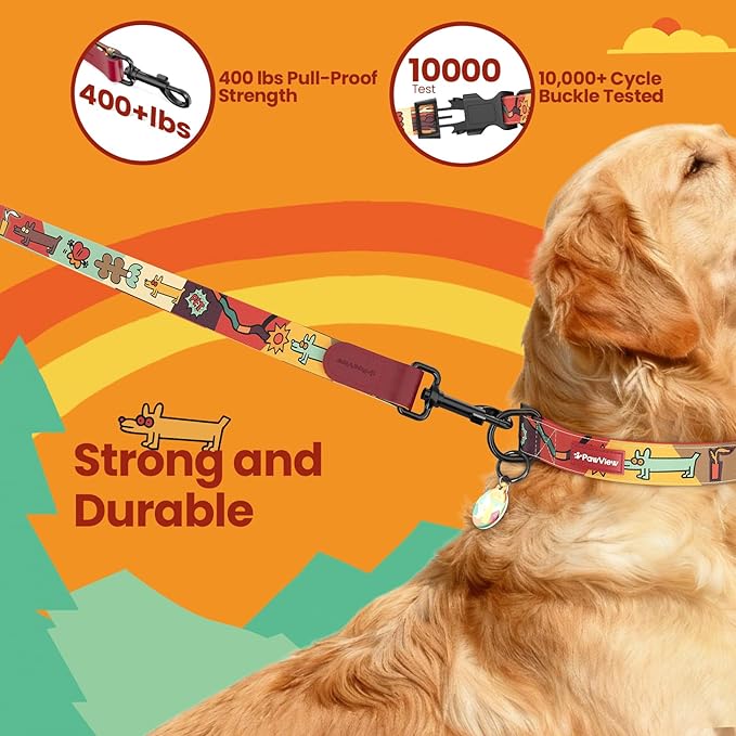 Dog Collar and Leash Set, QR Tag Adjustable Pet Collar, 5 FT Heavy Duty Dog Leash, Padded Handle, Quick Release Buckle, Metal Ring, 360° Swivel Clip for Small Dogs Walking Running (Red, S)