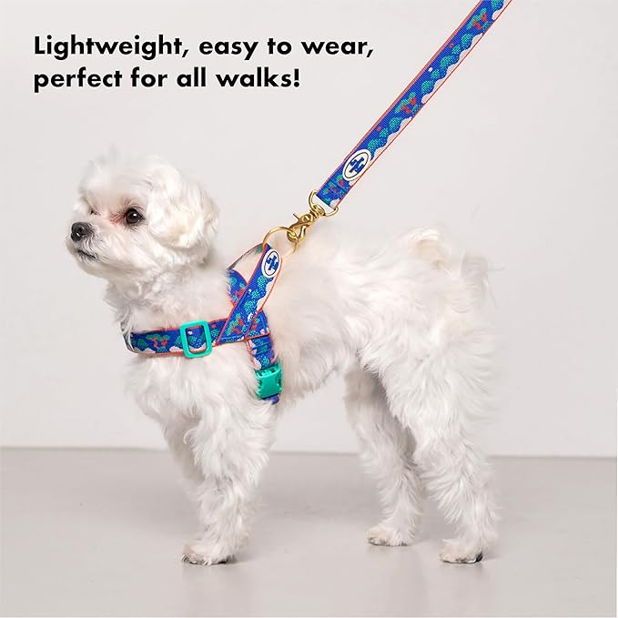Signature Dog Leash – 63in Durable Double-Sided Jacquard Webbing, Ergonomic 0.8in Grip, Safety-Tested Hardware – Made in Korea (Basic, Ilwolobongdo)