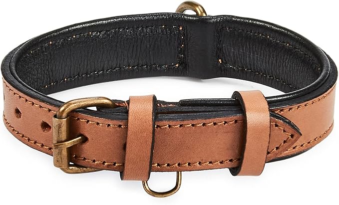 Real Leather Dog Collar Padded Soft Interiors with Premium Vintage Look Handcrafted Heavy Duty with Tag Ring for Small Medium and Large Pets (Small (1" Wide for 10.75" - 13.75" Neck), Cognac)