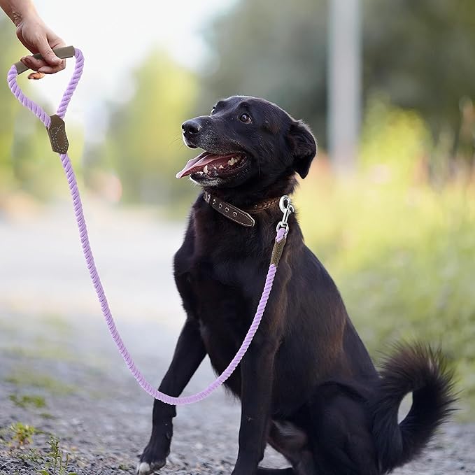 Mile High Life Dog Leash, Braided Cotton Rope Leashes with Leather Handle - Heavy Duty Metal Clasp, 5FT, 1/2" Thick - Wedding, Walking & Training Leash for Small Medium Large Dogs (Purple)