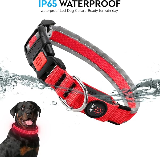 LED Dog Collar, Light Up Dog Collar USB Rechargeable, Nylon Adjustable Comfortable Soft Bright RGB 7 Colors Changeing Safety Light Glowing Collar for Small and Medium Dogs(Small,Red)