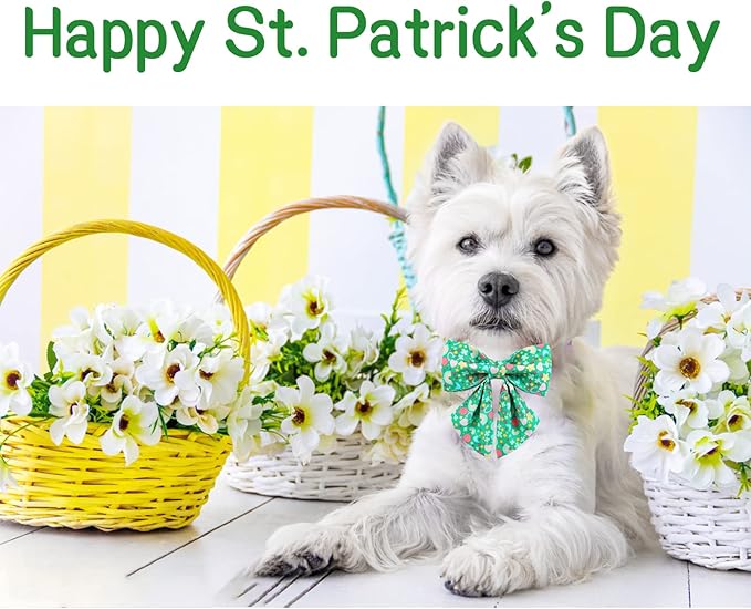 Unique style paws St. Patrick's Day Dog Collar with Tie Rainbow Clover Heart Puppy Collar for Small Medium Large Boys Girls-S