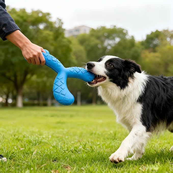 Ultra Durable Y-Shape Dog Chew Toy for Teeth Cleaning - Non-Toxic Rubber Interactive Tug of War & Fetch Toy for Medium & Large Dogs((Blue)