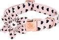 Elegant little tail Valentine's Dog Collar - Pink Black Heart Dog Collars Flower Pet Collars with Sturdy Metal Buckle Puppy Flower Adjustable Collar for Small Dogs