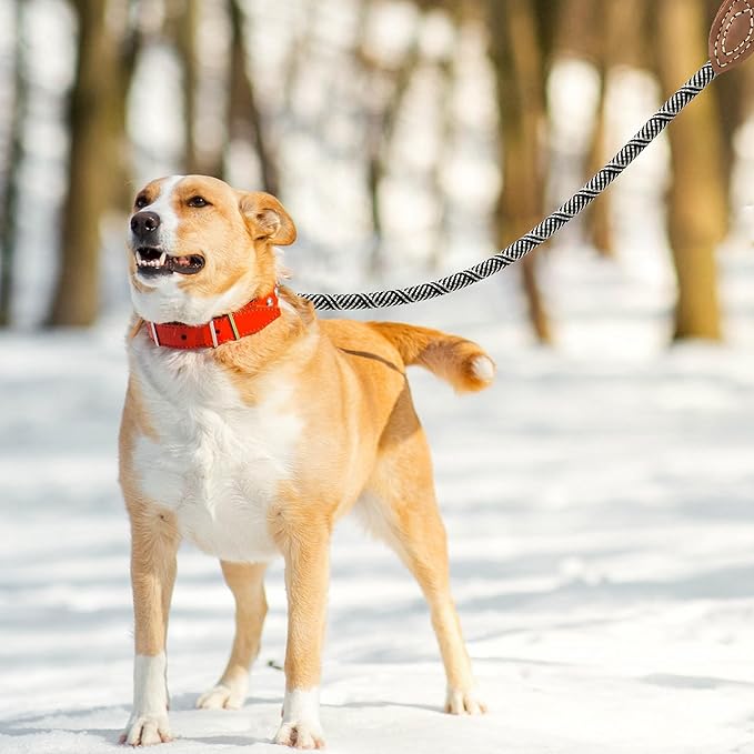 Mile High Life Rope Leash with Genuine Leather Connection, 6 FT/5 FT/4 FT, Heavy Duty Leash for Medium & Large Dogs (Black Beige, 60 Inch)