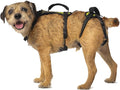 Help 'Em Up® - Dog Lift Harness│ Adjustable Lifting Harness for Dogs │ Full Body Support, Rear Leg Support (U-Band, Small)