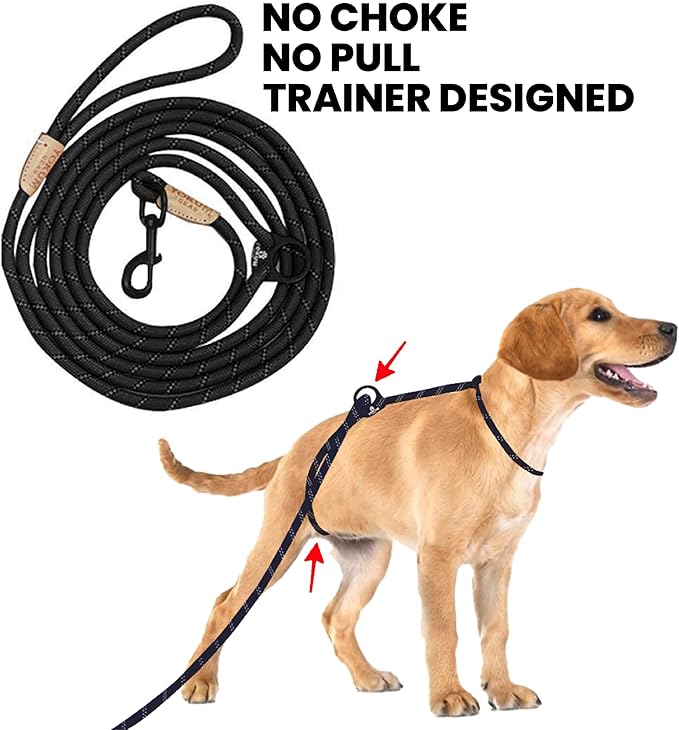12ft No Pull No Choke Leash Long Rope Dog Leash, Anti Pulling, Dog Leads for Walking, Double Hook & Escape Proof for All Breeds, Reflective Black