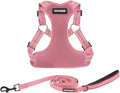 Best Pet Supplies Voyager Adjustable Step-in Flex Breathable Mesh Dog Harness for Small Medium Large Dogs Leash Set (Pink), M