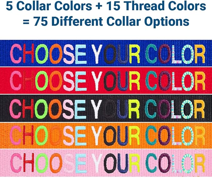 GoTags Custom Embroidered Dog Collar with Metal Buckle, Personalized Dog Collar with Pet Name and Phone Number, 10 Collar Sizes for Puppy and Dogs Extra Small, Small, Medium or Large