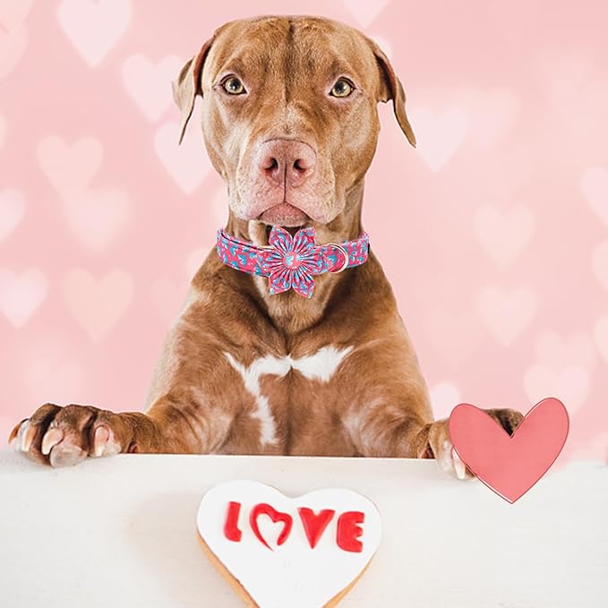 Elegant little tail Valentine's Dog Collar, Heart Dog Collar with Flower Cute Girl or Boy Pet Collars with Flower Puppy Gift Adjustable Pet Collars for Large Dogs