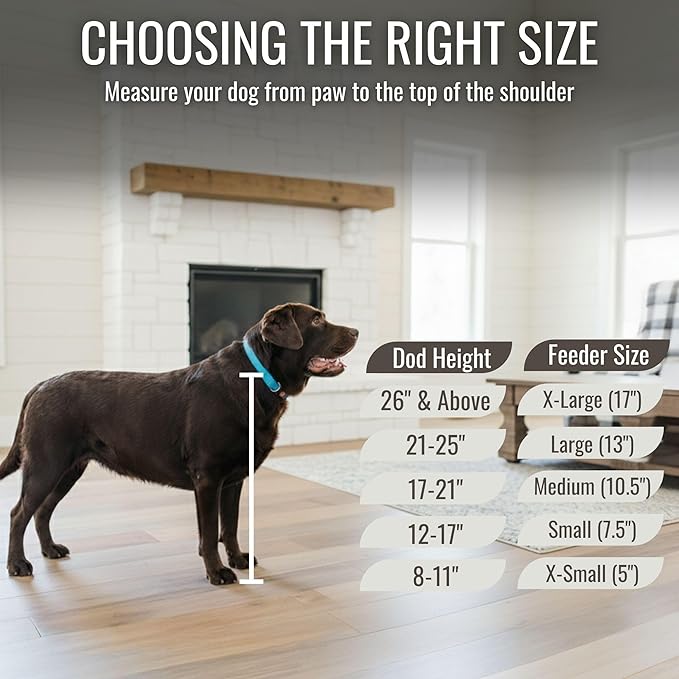 GTW Personalized Elevated Triple Dog Bowl Stand for Large, Medium, Small, X-Small Dogs - 3 Stainless Steel Food and Water Bowls - Raised Dog Dish with Internal Storage (Small, Blue)