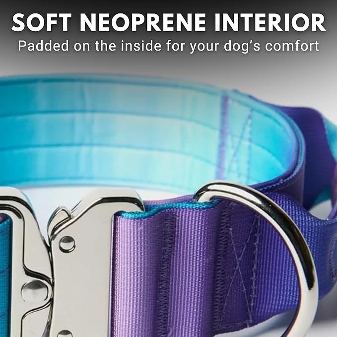 Spark Paws Tactical Dog Collar - Heavy Duty, Premium Quality, Thick and Durable for Large and Medium Dogs - 90's Retro - M