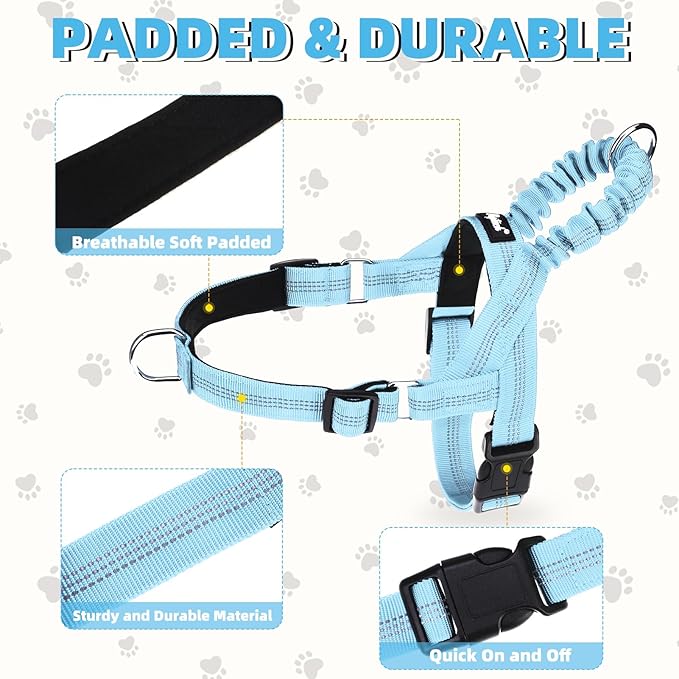 PUPTECK No Pull Dog Harness Small Sized Dog, Adjustable Reflective Pet Vest Harness with Bungee Handle, Escape Proof No Choke Harness for Small Dogs Walking Training, Sky Blue M
