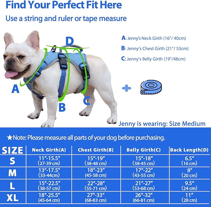 Huntboo Escape Proof Dog Harness, Escape Artist Harness, Reflective Dog Harness with Handle, Durable,Adjustable Vest for Small Medium Large Dogs Walking, Training,and Running Gear(Sea Blue,XL)