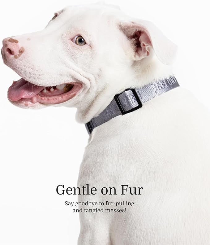 2026 New Edition, Fei & Eve Classic Dog Collar - Quick Release Metal Buckles | Fur-Safe | Premium 210D Nylon | 450LB Escape-Proof | Adjustable Fit | Small (Twilight Gray)