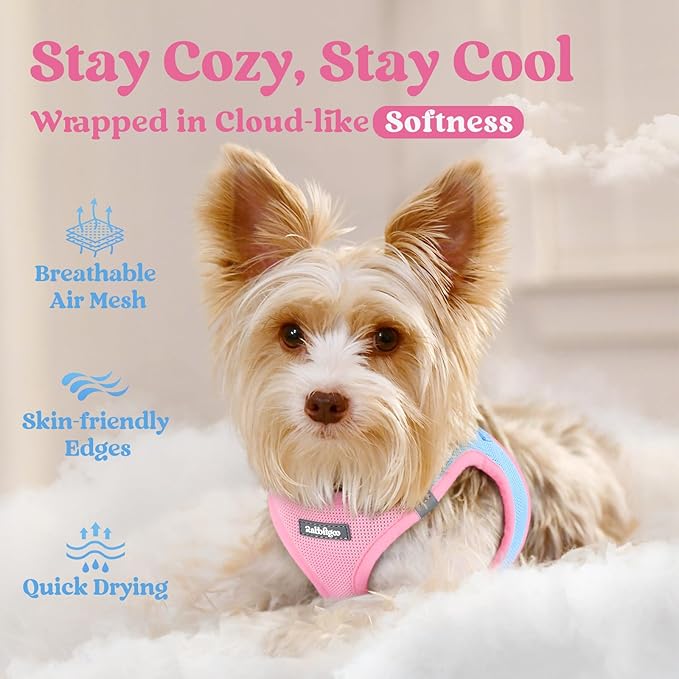 rabbitgoo Small Dog Harness, Step-in Soft Mesh Puppy Vest with Safety Buckle, Breathable Reflective Pet Harness for Large Dogs, Blue & Light Pink XXL