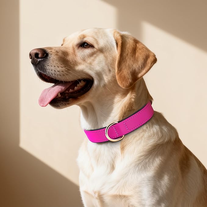 Didog Soft Padded Dog Collar for Large Dogs, Lightweight and Breathable Dog Collar with Metal Buckle, Rose Purple, XL