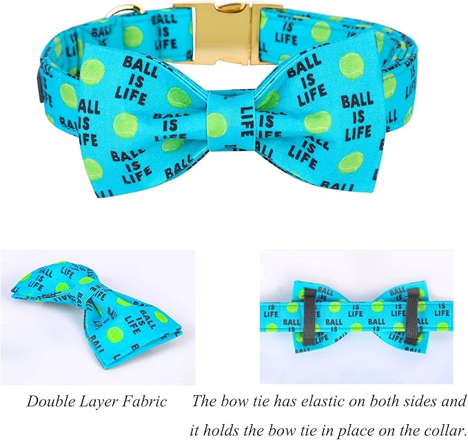 Lionet Paws Dog Collar with Bowtie - Cute Cotton Bowtie Dog Collar with Metal Buckle for Medium Dog Girl Boy, M, Neck 13.5-22in