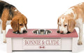 GTW Personalized Elevated Triple Dog Bowl Stand for Large, Medium, Small, X-Small Dogs - 3 Stainless Steel Food and Water Bowls - Raised Dog Dish with Internal Storage (Small, Pink)