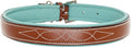 Exion Geniun Leather Dog Collar Designer Stitched Soft Leather Padded- Suitable for Small Medium Large X-Large Dogs for Walking Running- Conker with Sky Blue Padding