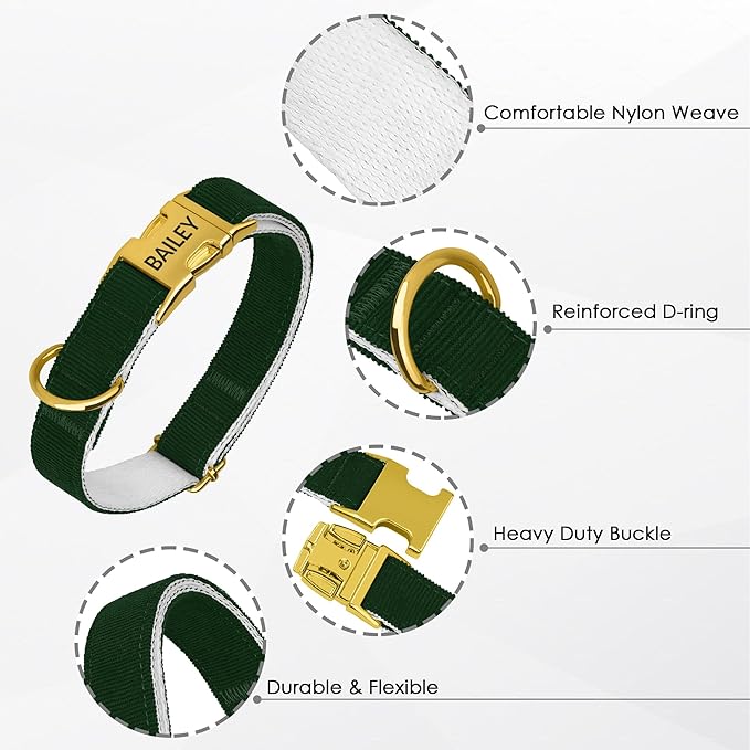 Personalized Dog Collar with Gold Metal Buckle, Velvet Custom Dog Collars for Small, Medium & Large Dogs – Puppy Collars with Metal Buckle, 4 Sizes, 8 Colors (Green, XL, 19"-24")