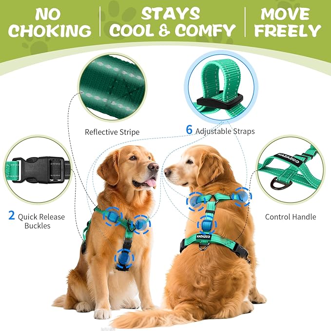 Dog Harness,Adjustable No Pull Dog Harness,Y-Shaped Design,Buckle-Neck Balance Harness with Reflective, Ideal for Dog Training Hiking, Easy Walk Harness,Durable High-Tensile Nylon Aqua Green-S