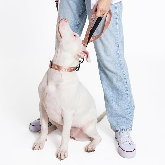 2026 New Edition, Fei & Eve MagEase Dog Collar - Patented Magnetic Buckles | Fur-Safe | Premium 210D Nylon | 450LB Escape-Proof | Adjustable Fit | Medium (Blush)