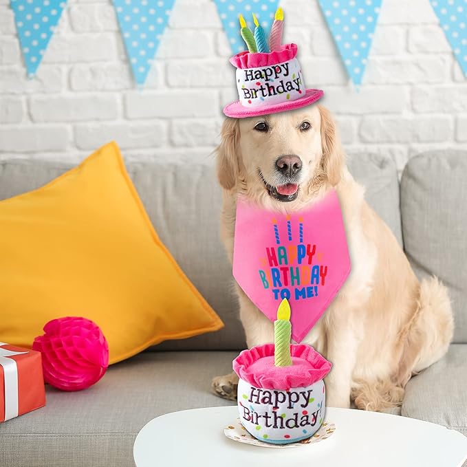 Dog Birthday Cake Toy, Happy Birthday Cake Shaped Squeaky Dog Toys for Medium & Large Dogs Funny Dogs Gifts Plush Dog Party Toys, Large, Pink