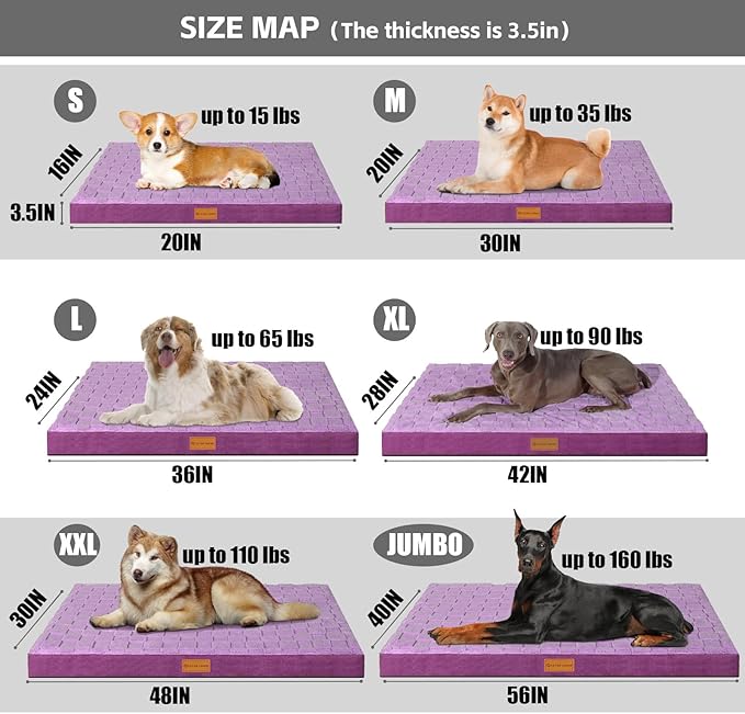 Patas Lague Orthopedic Jumbo Dog Bed for Extra Large Dogs 56''X40'', Waterproof Soft Warm Comfortable Egg Crate Foam Jumbo Pet Beds Mat with Removable Washable Cover and Nonskid Bottom, Pueple