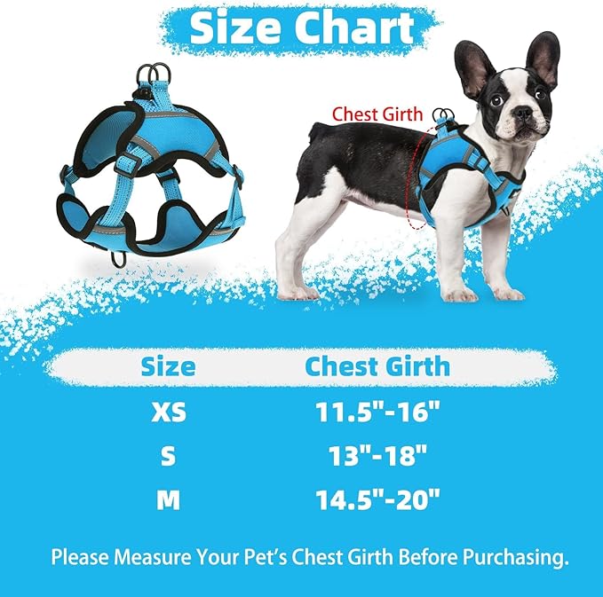 PUPTECK No Pull Dog Harness Small Sized Dog, Adjustable Reflective Escape Proof Easy Control, Comfortable Soft Padded Step in Pet Vest Harness, Blue, S