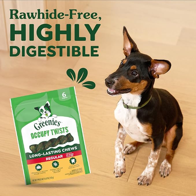 Greenies Occupy Twists Natural Dog Treats Regular Size Dog Chews Long Lasting Chicken Flavor, 8.65 oz. Pack, 6 Count