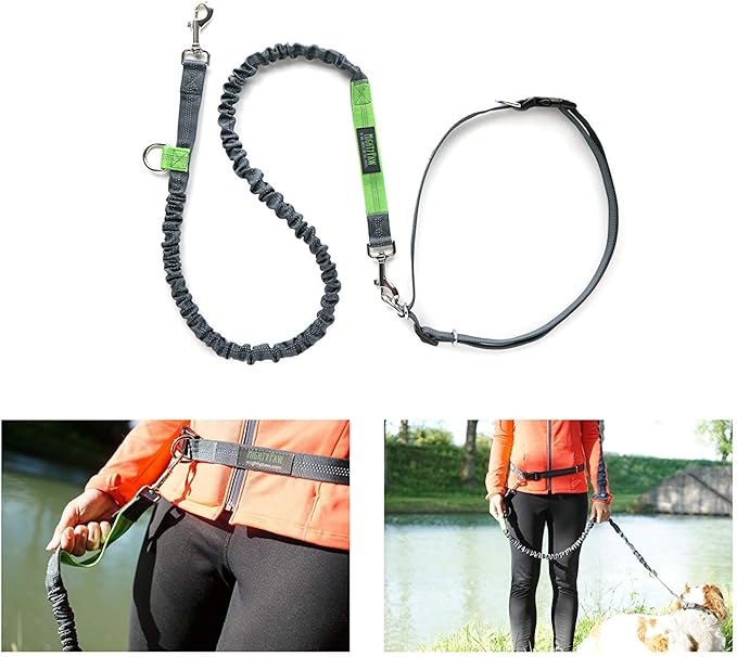 Mighty Paw Hands Free Dog Leash | Bungee Waist Leash for Dog Walking. Pet Running Hands Free Tether for Large, Medium & Small Breeds. Pet Waist Belt (36" - 48") Up to 150 lbs - Gray