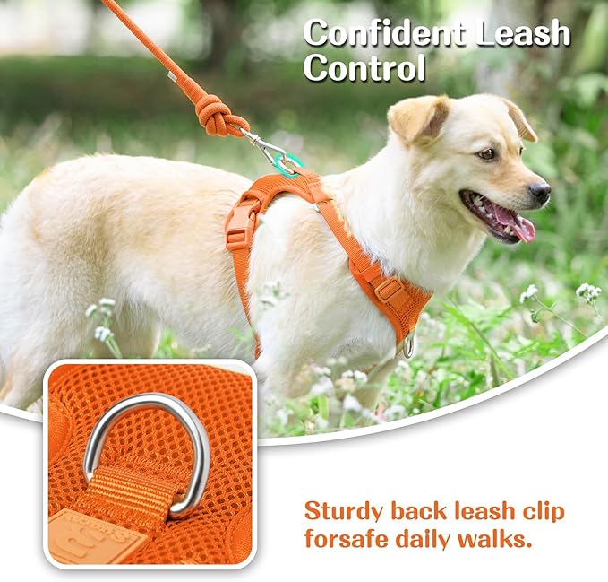 No Pull Dog Harness for Small Medium Large Dogs - Adjustable 2 Layer Mesh Dog Vest with Dual Clip, Escape Proof, Quick Release, Lightweight Breathable Mesh for Walking Hiking (Orange,L)