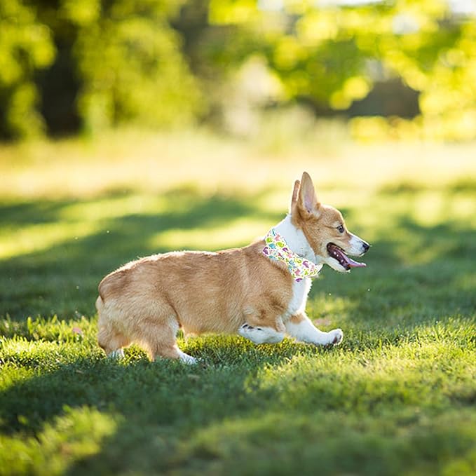 Elegant little tail Dog Collar- Cute Dinosaurs Dog Collar with Bow for Large Dogs, Male Adjustable Cotton Summer Pet Bow Holiday Puppy Collar for Small Medium Large Dogs