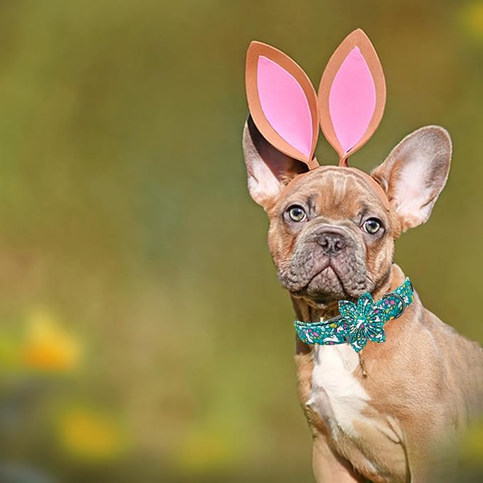 Elegant little tail Easter Dog Collar, Bunny Print Puppy Collar with Flower Girl Boy Pet Collars Flower Spring Holiday Dog Collars Adjustable Dog Collar for Medium Puppy