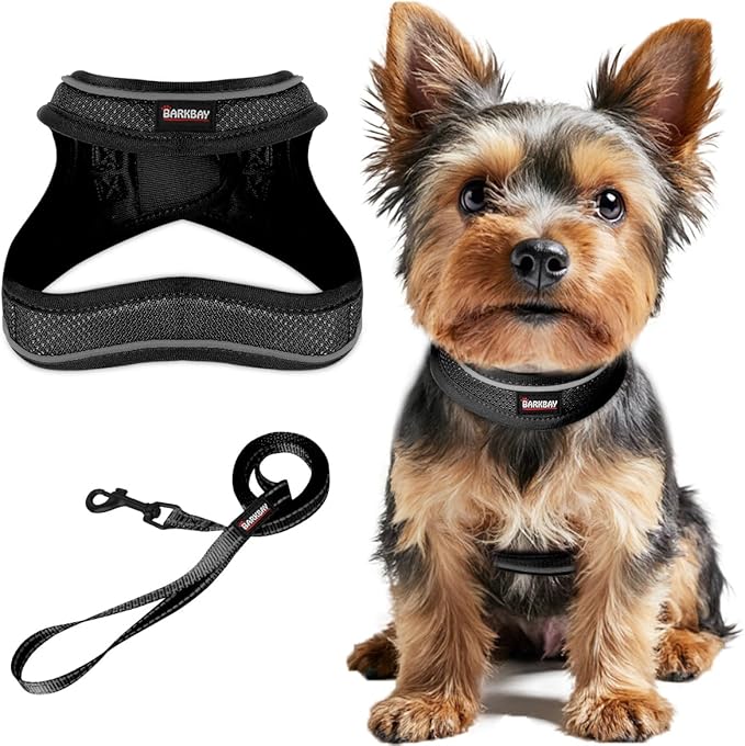 Dog Harness and Leash Set,Step in Small Sized Dog Harness,Soft Mesh,No-Chock,Reflective Adjustable,Secure with Hook & Loop Fastener,Puppy Vest for Small,Medium Dogs(Black,L)