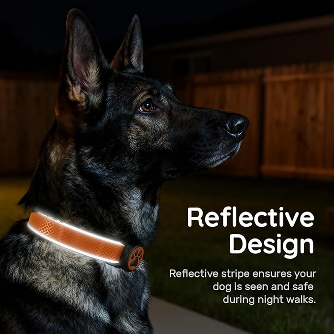 Reflective Dog Collar with Waterproof tag Holder & Anti-Lost QR Code | Ultra-Durable | Soft Padded | Safety Locking Buckle | Fit Large Dogs (Orange L(15.7"-23.6"))