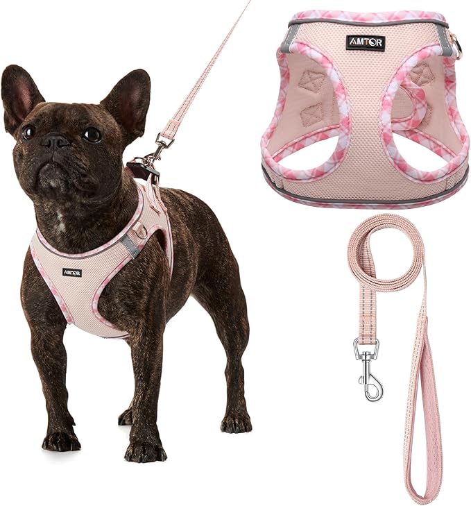 AMTOR Small Dog Harness with Leash Set, No Escape Easy Walk Puppy Harnesses for Training Walking, Step-in Reflective Soft Dogs Vest for XS S Medium Extra-Small Large Sized Dog(Pink,S)
